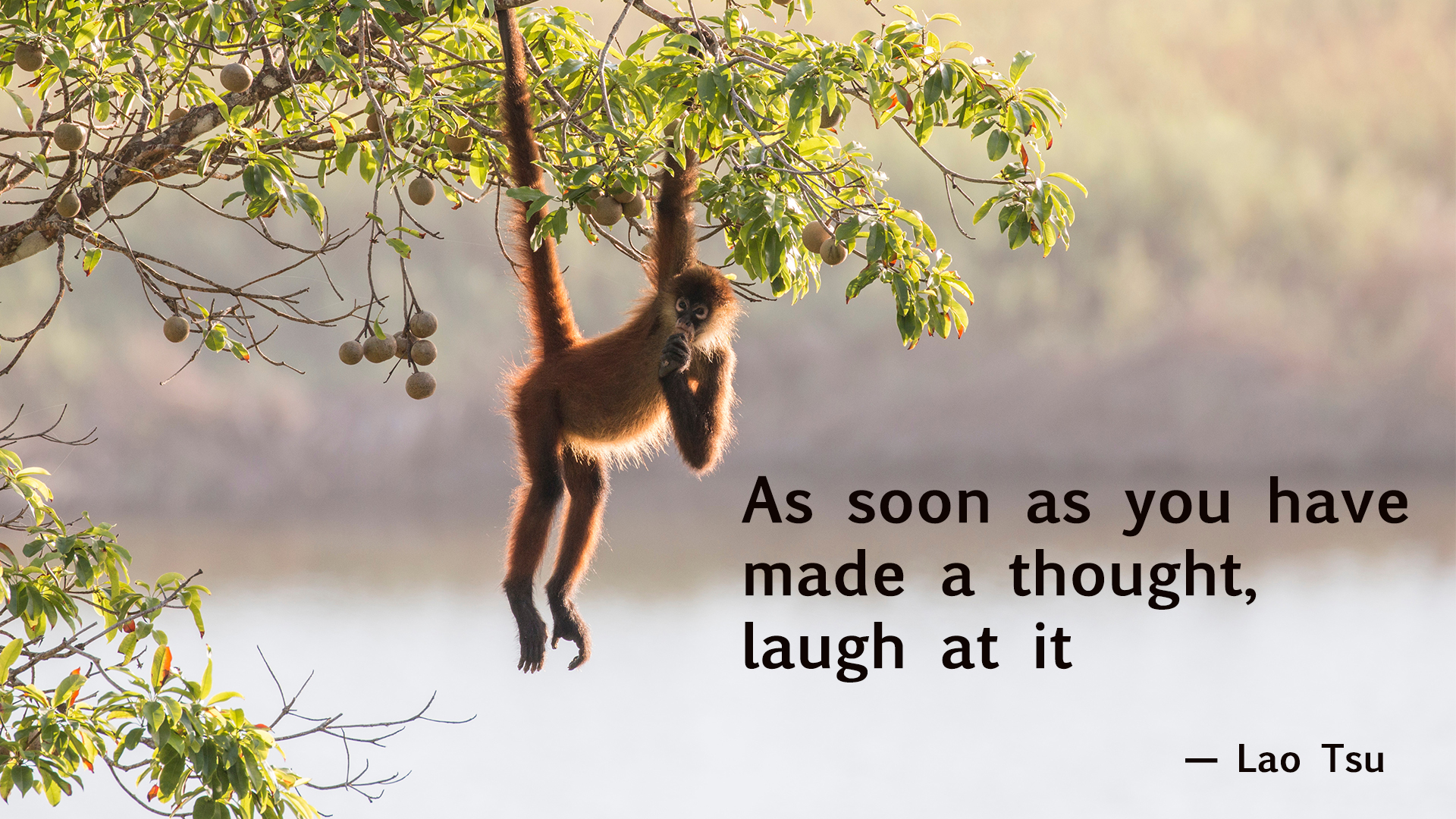 Lao Tsu quote about Laughter.